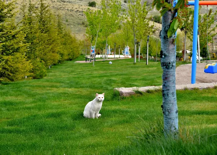 ホテル Doc's Thermal Wellness & Detox