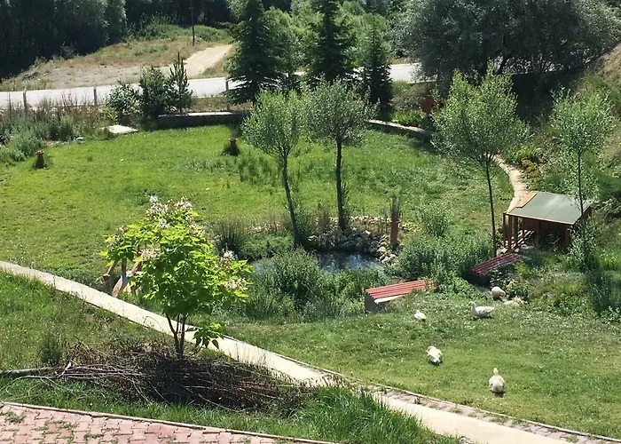 ホテル Doc's Thermal Wellness & Detox